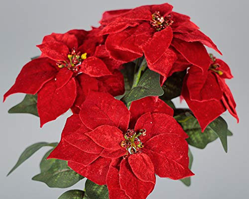 Zelda Bomboniere Busch Stelle Natale Velluto 5 Fiori Decorazioni Festivita (Bianco)