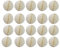 20 Stück Wabenblumenkugeln – Party-Dekoration, Papierblumenkugeln, Seidenpapier, Pompons für Babyparty, Geburtstag, Hochzeit, Heimdekoration (15,2 cm, cremefarben)