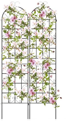 COSTWAY Rankgitter Metall 220 cm hoch, 2er Set, dekorativer Gartenzaun, freistehende Rankhilfe, Spalier Garten zum Stecken, Rankspalier für Kletterpflanzen Blume Gemüse, freistehend (Schwarz)