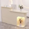EKDJSN Empfangstheke, Rezeptionstheke, Moderner Empfangstresen mit LED-Licht, Rezeptionstisch Verkaufstheke mit Schublade und Lagerschrank(Beige,140x50x105CM)
