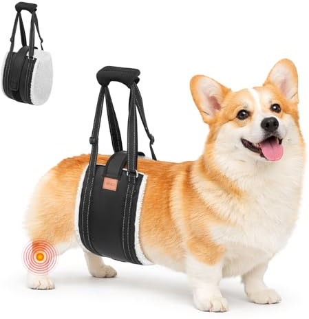 BRO Adjustable Dog Lifting Harness with Hook and Loop, Support and Rehab Harness for Weak Rear Legs, Soft Sling Assist The Dog (For Small Dog)