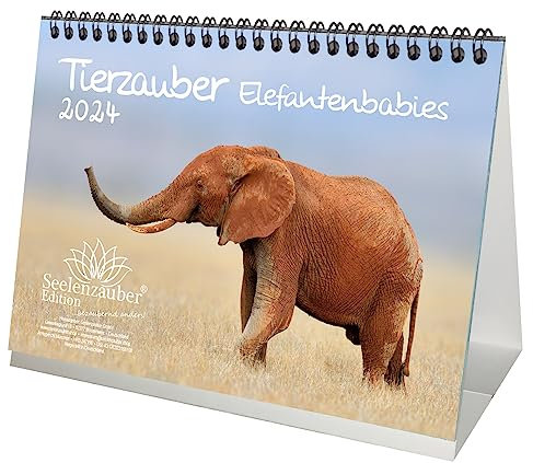 Tierzauber Elefantenbabies DIN A5 Tischkalender für 2024 Elefanten - Geschenkset Inhalt: 1x Kalender, 1x Weihnachts- und 1x Grußkarte (insgesamt 3 Teile)