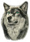 Slakerbe Auto-Aufkleber, 4 Stück, Wolfskopf Aufkleber, selbstklebend, selbstklebend, wasserdicht, für Auto, Motorhaube, Karosserie, 12 cm x 8 cm