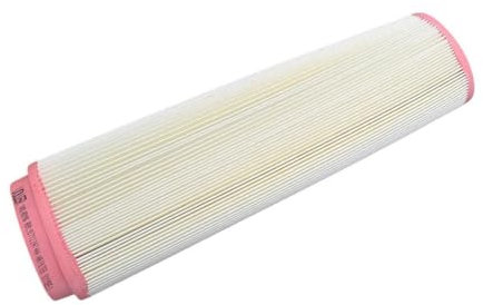 Filtro aria per BMW 3, 5, 7, X3, X5, X6 (E46, E90, E91, E92, E93, E39, E60, E61, E38, E65, E66, E83, E53, E70, E71) 13712247444