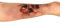 MIMIKRY Make Up Set Spinnen Wunde Special FX 3 Spinnen mit Modellierpaste künstliches Fleisch Horror Halloween