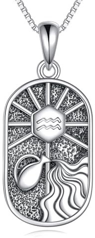 YAFEINI Sternzeichen Wassermann Kette Damen 925 Sterling Silber Wassermann Konstellation Anhänger Halskette Schmuck Geschenk Astrologie Horoskop