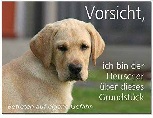 Labrador blond-Schild-3 Größen-Aluminium Verbund-Hund-Tierschild-Hunde-Warnschild-Hinweisschild (1450-27 -20 x 15 cm mit Löcher)