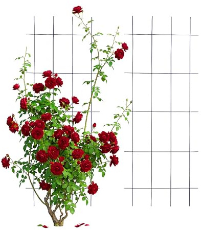 Relaxdays Rankgitter, 2er Set, HxB: 115 x 45 cm, Metall, Rankhilfe für Kletterpflanzen, Garten, Rosenrankhilfe, schwarz