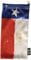 Oakley Unisex-Erwachsene Microbag Sonnenbrillenetui, Flagge Texas