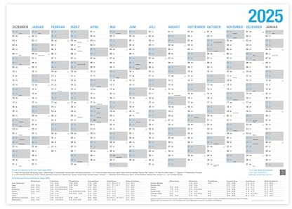 XL Wandkalender 2025 - DIN A3 (29,7 x 40,2 cm) für 14 Monate Dez 2024 - Jan 2026 | Wandplaner mit Ferien- und Feiertage-Übersicht