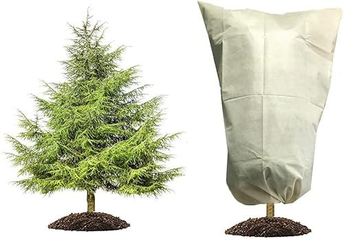 HERILIOS Winterschutz für Pflanzen, Frostschutz Pflanzenabdeckungen als Winterschutz für Baum Palmen Balkonpflanzen haube Zelt Atmungsaktiv - Reißfest,60 x 80cm beige