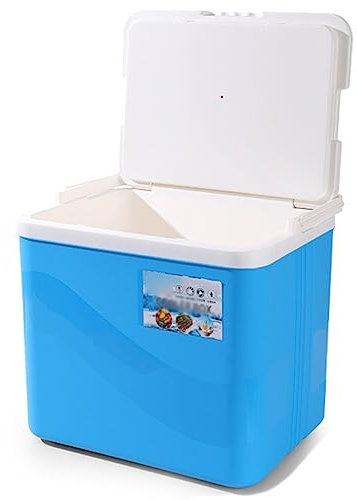 Nevera De 6L / 10L / 15L / 28L Caliente Frío Aislado Congelador Portátil Enfriador Hielo Potente Caja Aislada con Asa Refrigerador Portátil para Viajes Playa (Color : Blue, Size : 6L)