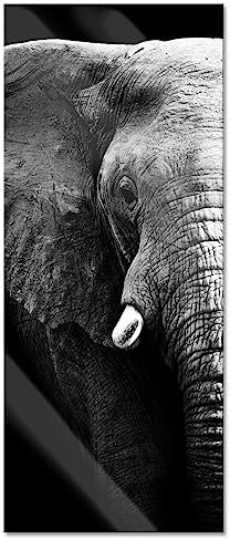 Pixxprint Glasbild Panorama, Wandbild aus Echtglas, Elefant Porträt, 100x40 cm, inkl. Aufhängung und Abstandshalter