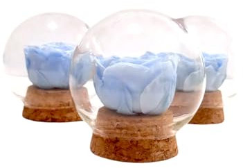 Genérico Rose bleu ciel naturelle préservée. Dôme en verre. Rose éternelle bleue. Achetez des roses bleues. Fleurs préservées. Cadeau original, anniversaire, anniversaire, décoration. Roses bleues.