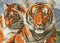 DIAMOND DOTZ DQ10.003 - Original 5D Diamond Painting Squares Set Tiger, Kreativset mit 26.634 quadratische Diamant Mosaiksteinen, Malset ca. 37 x 51,5 cm für Erwachsene und Kinder ab 8 Jahren