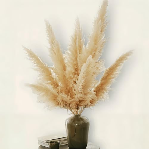 Paquet de 10 Grandes Herbes de Pampa XXL (100 cm/39 Pouces) Fleur sèche Grande pour décoration bohème, Mariage, décoration de Salon - LUFTSCHLOSS