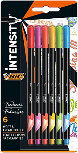 BIC Intensity Fineliner, Filzstifte in 6 verschiedenen Regenbogenfarben, mit feiner Spitze, für Bullet Journal & Mandala