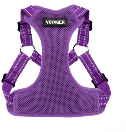 Voyager Step-In Flex Hundegeschirr – Allwetter-Netz, verstellbares Geschirr für kleine und mittelgroße Hunde von Best Pet Supplies – Violett (passender Rand), Größe M