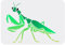 FINGERINSPIRE Malschablone Gottesanbeterin 21x29.7 cm Wiederverwendbar Großes Mantis Muster Wandschablone DIY Handwerk Tierthema Dekoration Schablone Zum Malen Auf Holz Papier Und Möbel