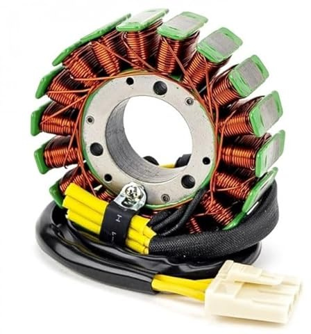 Stator Generator für K-TM 200 Duke (2012-2018)