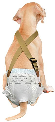Paw Inspired The Original Dog Windel-Hosenträger,Bauchbänder Hundegeschirr,Strapazierfähiges Kleid & Windelhalter,Halten Sie Windeln auf Ihrem Hund, mittelgroße und große Hunde (S/M, braun)