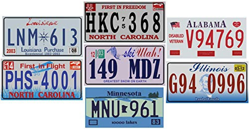 OPO 10 - Los mit 7 USA Autokennzeichen aus Metall - Repliken von echten amerikanischen Kennzeichen (V10)