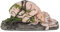 Nemesis Now Figur One with Earth, 19 cm, Braun