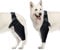 Luqeeg Ellenbogenbandage für Hunde, Ellenbogenbandage, Kompressionsbandage, Kniebandage für Hunde, Ellenbogen- und Schulterstütze, Dysplasie, Arthritis, Ellenbogenschwielen, Druckgeschwüre(M)