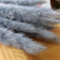 GEFIRE 30 Stück 44cm Trockenblumen, Pampasgras getrocknet, Trockenpflanzen, Schilfgras, Pampasgras, Stäbchen Pampasgras, Pampasgras Federn für Florale Wohnkultur, Boho Deko (Hellgrau)