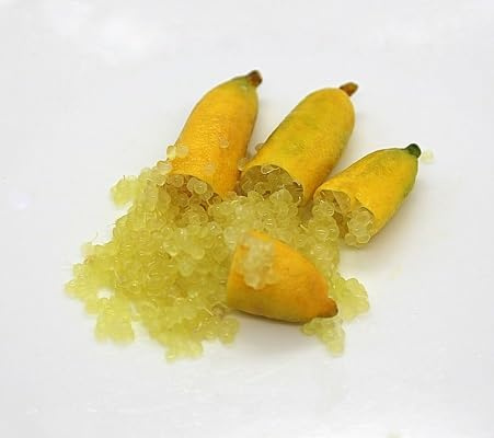 100 semi di lime giallo