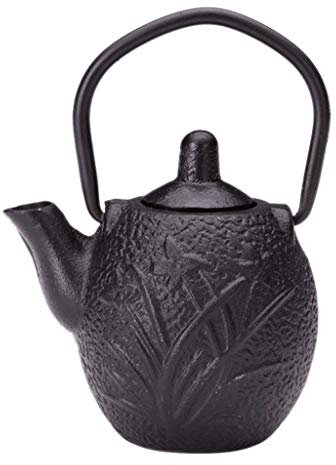 Backbayia Japanese Cast Iron Mini Teapot Whiskey Flagoon Jug Cold Drink