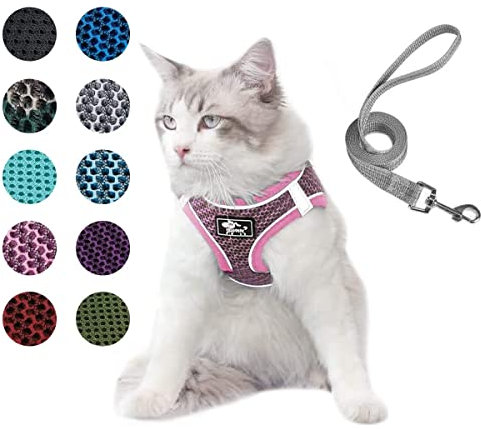Hundegeschirr Set mit Leine für kleine Hunde - Brustgeschirr ausbruchsicheres Katzengeschirr Welpengeschirr Step-In Geschirr für kleine Hunde, Welpen, Katzen L Rosa