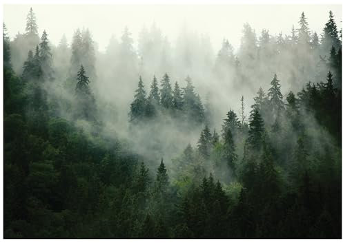 WallArena - Vlies Fototapete Wald Nebel Landschaft Grün Natur Bäume 400x280 cm - Fototapeten - Tapeten - für Wohnzimmer Schlafzimmer - Vliestapete Wandtapete Tapete 3D Effekt- inkl. Kleister