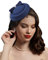 Fascinators Hüte 20er 50er Jahre Hut Pillbox Hut Cocktail Tee Party Kopfbedeckung mit Schleier für Mädchen und Frauen, C-Navy blau, Einheitsgröße