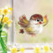 Wandtattoo Loft Fensterbilder Frühling Spatz Motiv – A4 Bogen, Wiederverwendbar – Frühlingsdeko Fenster Kinderzimmer, Frühlingsbild Fenster, Fensterdeko Frühling, Fensterfolie Frühling Selbstklebend