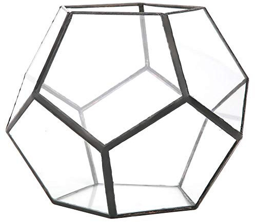 Glasterrarium Stilvolle geometrische Form Glasblumentopf Sukkulenten Pflanze Pflanzgefäß Container Landschaft Dekoration für Farn Moos Luftpflanzen Miniatur Einweihungsparty Geschenk