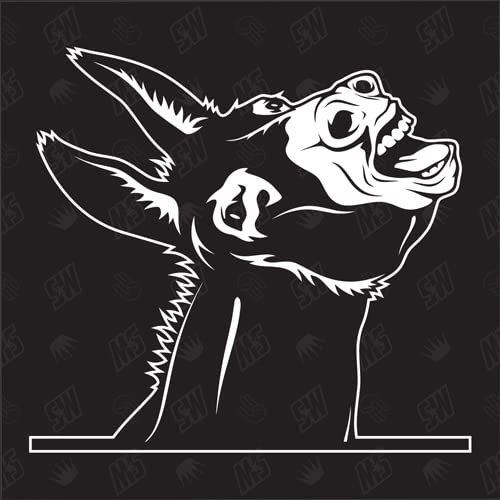 speedwerk-motorwear Esel Version 2 - Aufkleber, Autoaufkleber, Sticker, Maultier, Bauernhof, Eselaufkleber, Tiere, Farmanimals, Farmtiere, Grautier, Zugtier, Reittier (AUCH MIT Wunschname MÖGLICH)