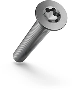 Vite a testa svasata M3 × 4 (ISO 14581 TORX, Acciaio inossidabile A2, Completamente filettato) TX10 – 25 Pezzi