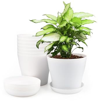 KINGLAKE, 8 vasi da fiori in plastica bianca da 14 cm, per interni con pallet/vassoi, per ufficio e casa