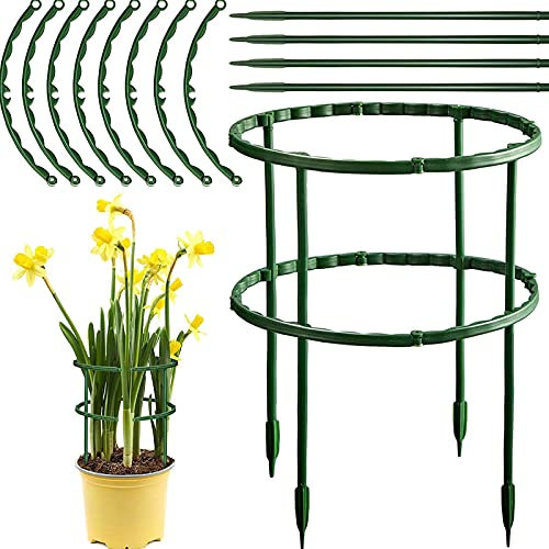 ASSR 2 PCS Plant Support Stakes, Double Layer Green Half Round Plant Support Ring, Plastic Plant Cage Holder Climbing Trellis for Small Plant (6.7 x 10.2 Inch)