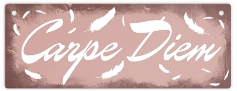 Carpe Diem Nutze den Tag Metallschild L in 10,5x28cm in braun