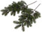 Botanic-Haus künstlicher Tannenzweig/Weihnachtszweig im Spritzgussverfahren hergestellt mit 28 Spitzen (2 Stück)