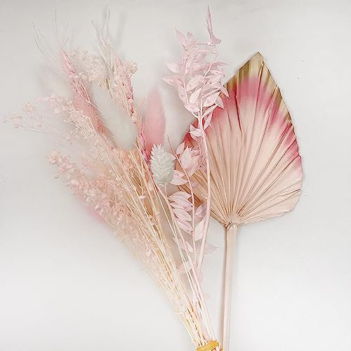 VELAFEE Pink Dried Flowers Bouquet for Room Decor Cake Decor 12 Stems - 1 Dried Oats 2 Pink Wheat 2 White Gem Grass 2 Pink Gem Grass 2 Bunny Tails 1 Pink Ruscus 1 Pink Dream Star Flower 1 Pink Palm