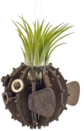 VEKULI Colgador de Plantas de Aire Pez Globo - Soporte Individual para Tillandsia con Temática Marina