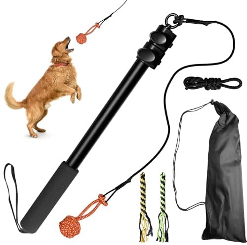 Reizangel Hunde: 150cm Reizangel für Hunde Längenverstellbare, Profi Hundeangel für Kleine Hunde Mittelgroßer Große Hund, Aktives Hundespielzeug mit Ersatzseil, für Spielspaß drinnen und draußen