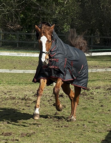 Rhinegold Aspen Full Neck Outdoor Rug