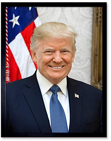 Artery8 Craighead Portrait US-Präsident Donald Trump Gerahmter Druck 30x40 cm