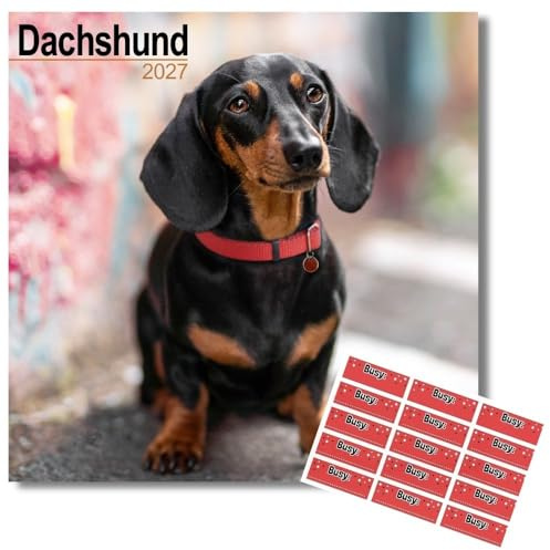 Dackel Kalender 2026 | Eckiger Hunderasse Wandkalender | 16 Monate | mit Organisationsaufklebern