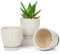 Set di 3 vasi da esterno, vasi per piante interni per piante succulente di orchidee serpente, vasi per orchidee decorazioni per la casa sul davanzale, diametro 11,2 cm