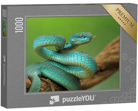 puzzleYOU: Puzzle 1000 Teile „Viper auf einem Zweig, angriffsbereite Blaue Inselschlange, Nahaufnahme“ – aus der Puzzle-Kollektion Schlangen, Tiere in Dschungel & Regenwald
